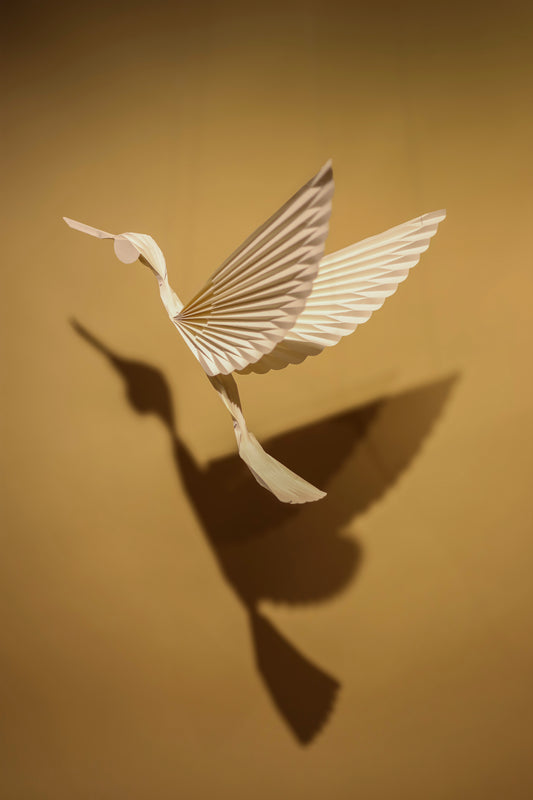 Colibrí