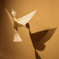 Colibrí