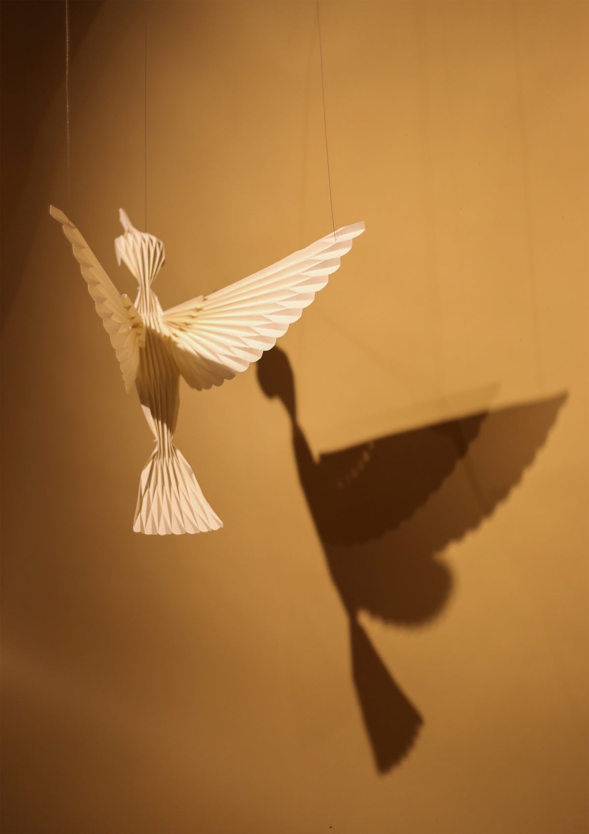 Colibrí
