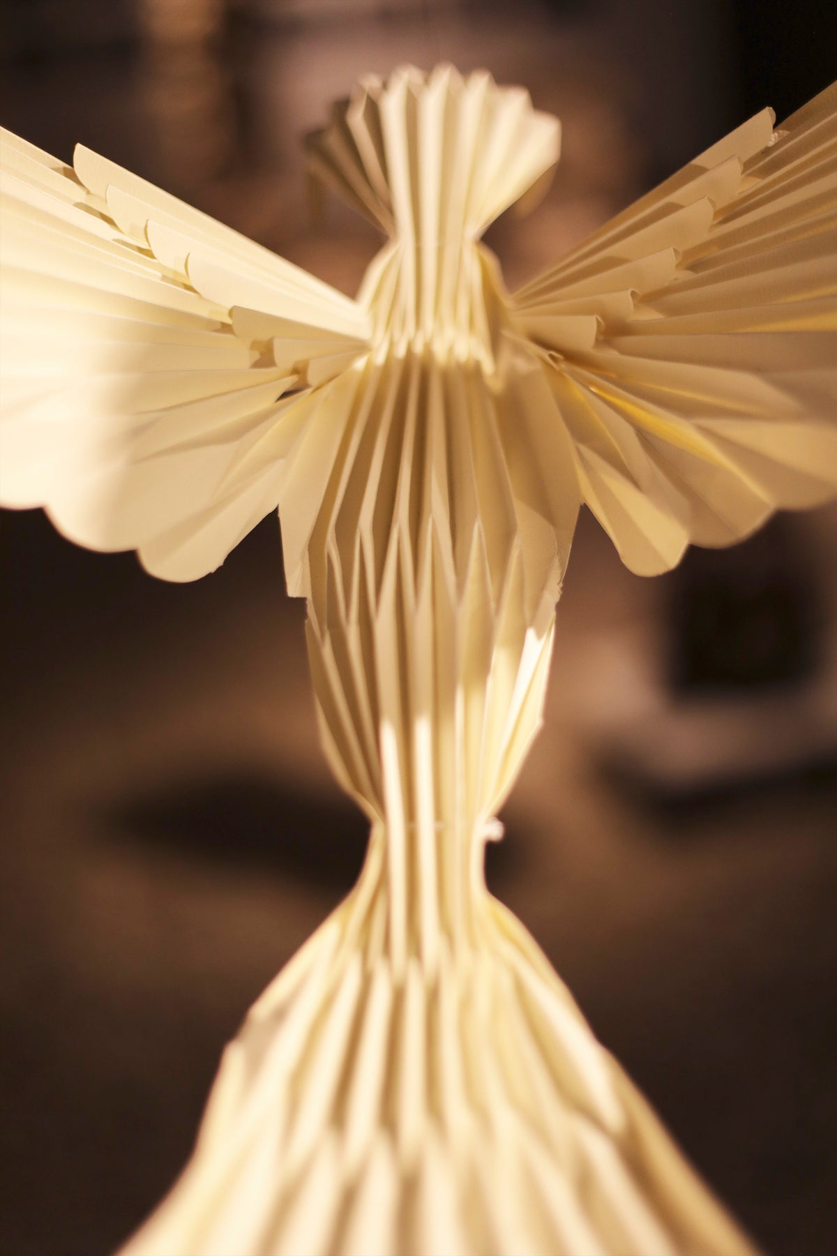 Colibrí