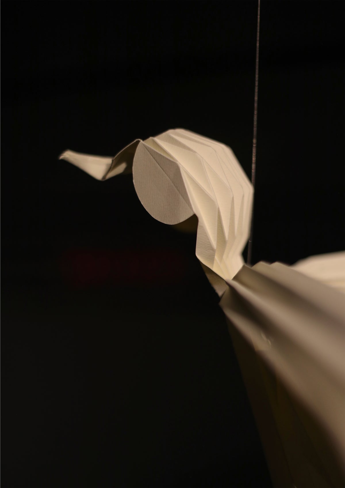 Colibrí