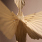 Colibrí
