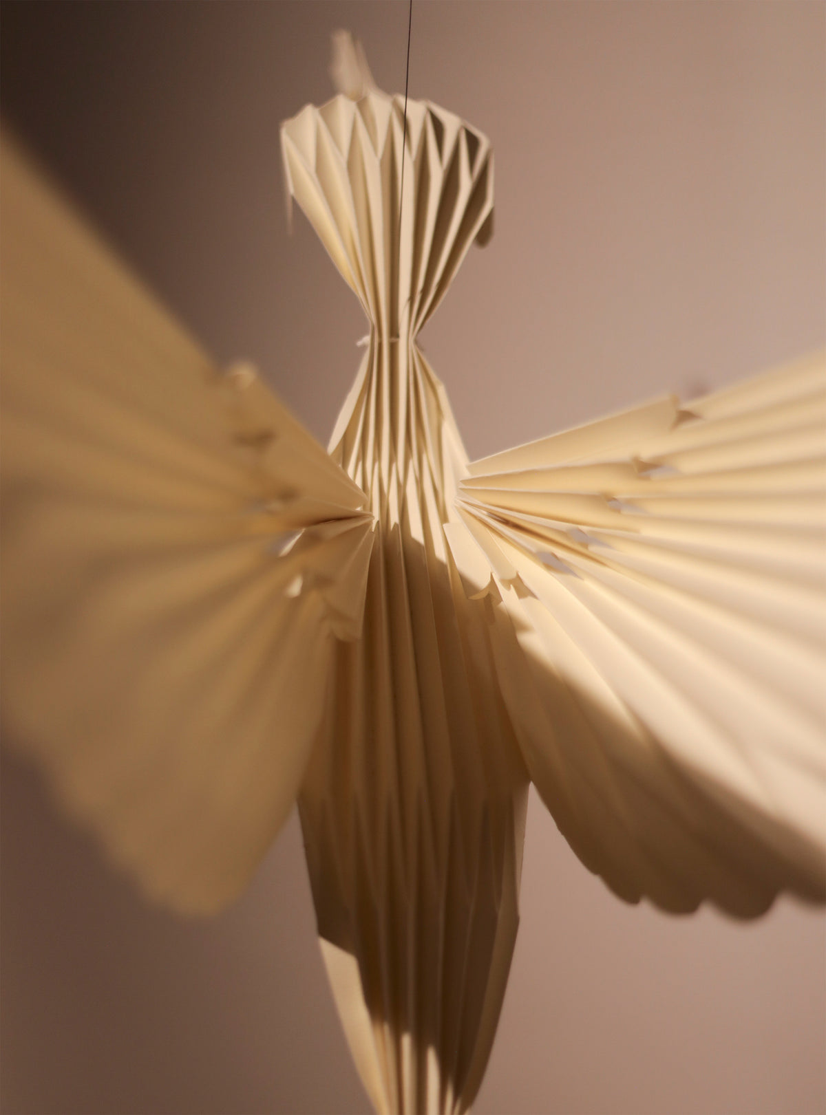 Colibrí