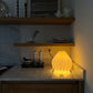 Lámpara de mesa marca Plié, referencia Gemini. Fabricada con base metálica y caperuza hecha en papel plegado. Perfecta para iluminar espacios pequeños y dar un brillo a los espacios. La lámpara esta puesta en el mesón de la cocina para mostrar el tamaño de la lámpara. Diseño colombiano. Hecha a mano en Colombia